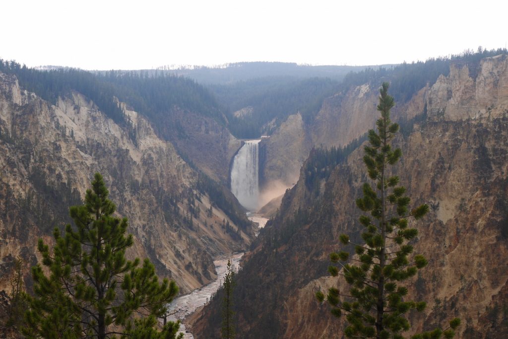 Le grand canyon de Yellowstone
